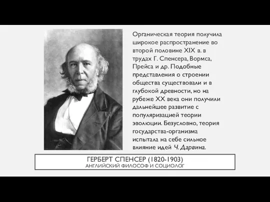 ГЕРБЕРТ СПЕНСЕР (1820-1903) АНГЛИЙСКИЙ ФИЛОСОФ И СОЦИОЛОГ Органическая теория получила широкое