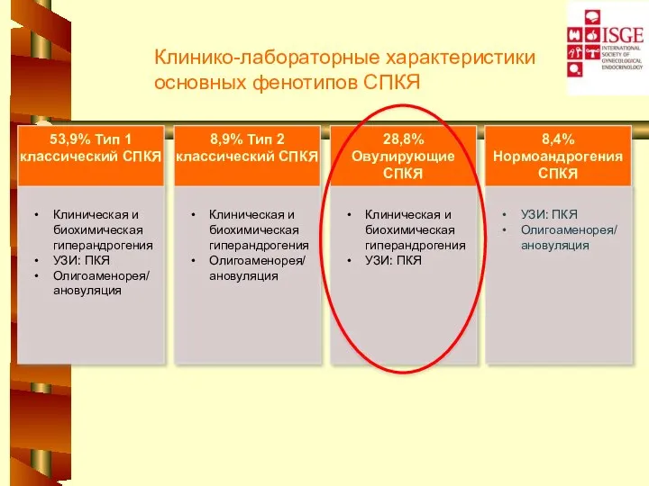 8,4% Нормоандрогения СПКЯ УЗИ: ПКЯ Олигоаменорея/ ановуляция Клинико-лабораторные характеристики основных фенотипов СПКЯ