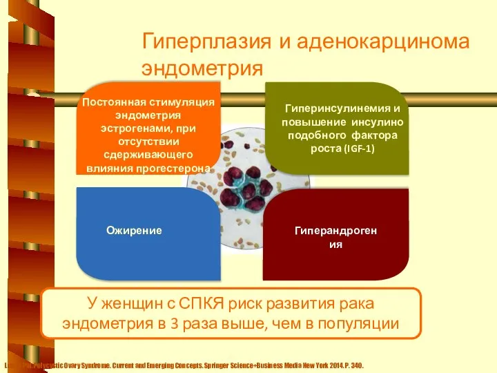 Гиперплазия и аденокарцинома эндометрия Постоянная стимуляция эндометрия эстрогенами, при отсутствии сдерживающего