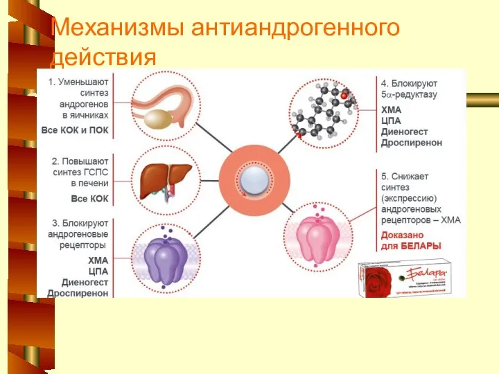 Механизмы антиандрогенного действия