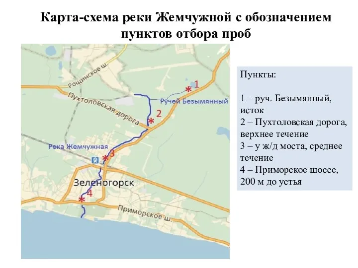 Карта-схема реки Жемчужной с обозначением пунктов отбора проб Пункты: 1 –