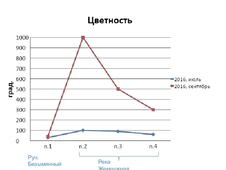 Руч. Безымянный Река Жемчужная