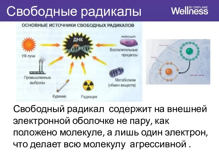 Свободные радикалы Свободный радикал содержит на внешней электронной оболочке не пару,