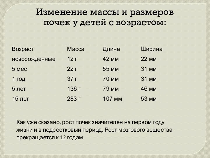 Изменение массы и размеров почек у детей с возрастом: Как уже