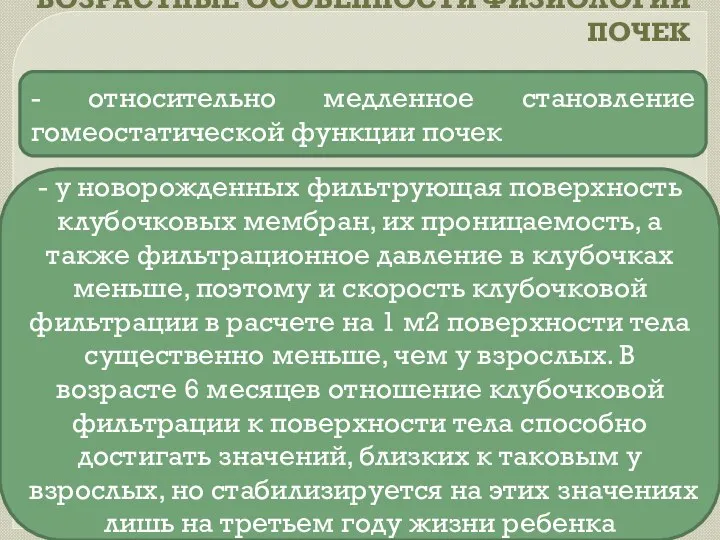 ВОЗРАСТНЫЕ ОСОБЕННОСТИ ФИЗИОЛОГИИ ПОЧЕК - относительно медленное становление гомеостатической функции почек