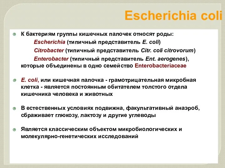 Escherichia coli К бактериям группы кишечных палочек относят роды: Escherichia (типичный