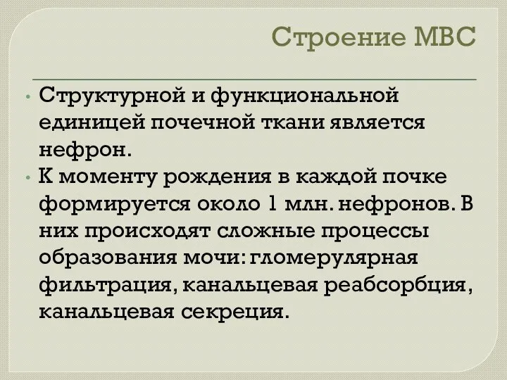 Строение МВС Структурной и функциональной единицей почечной ткани является нефрон. К