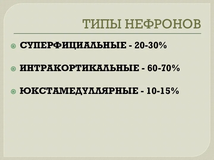 ТИПЫ НЕФРОНОВ СУПЕРФИЦИАЛЬНЫЕ - 20-30% ИНТРАКОРТИКАЛЬНЫЕ - 60-70% ЮКСТАМЕДУЛЛЯРНЫЕ - 10-15%