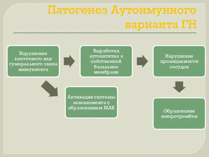 Патогенез Аутоимунного варианта ГН