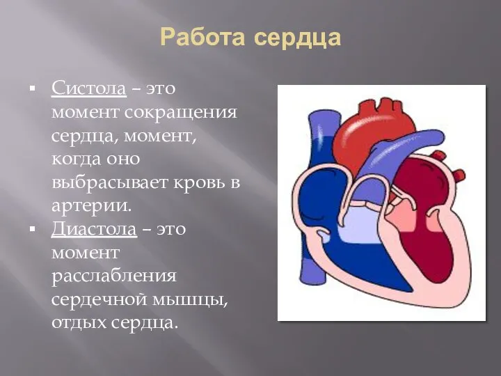 Работа сердца Систола – это момент сокращения сердца, момент, когда оно