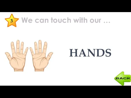 We can touch with our … HANDS 3