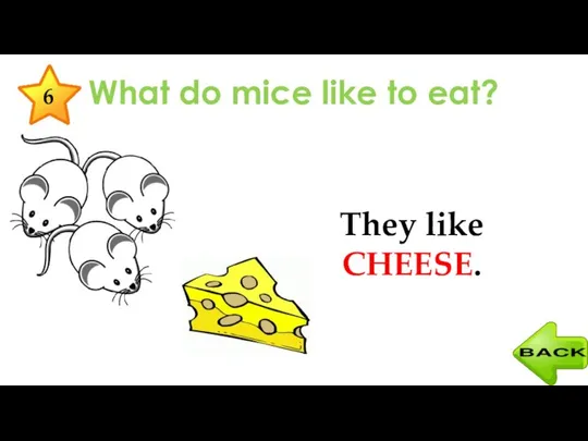 What do mice like to eat? They like CHEESE. 6