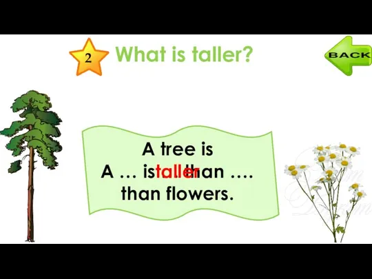 What is taller? 2 A … is … than …. A tree is taller than flowers.