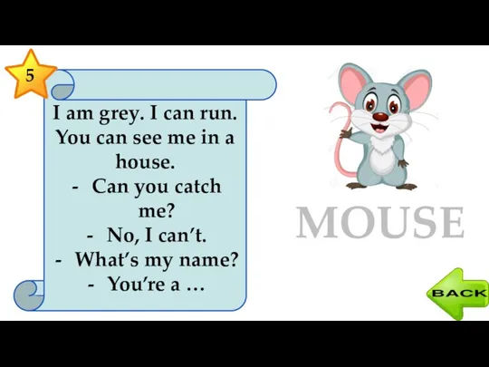 I am grey. I can run. You can see me in