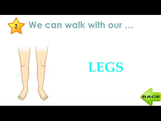 We can walk with our … LEGS 2