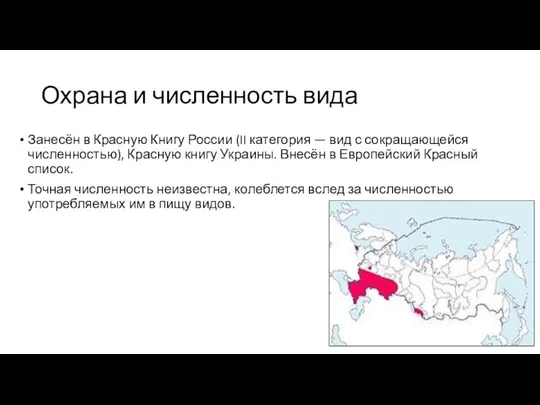 Охрана и численность вида Занесён в Красную Книгу России (II категория