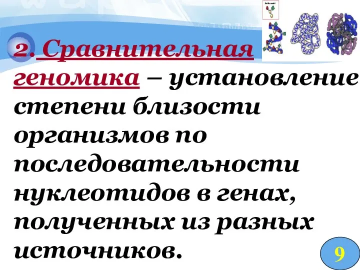 2. Сравнительная геномика – установление степени близости организмов по последовательности нуклеотидов