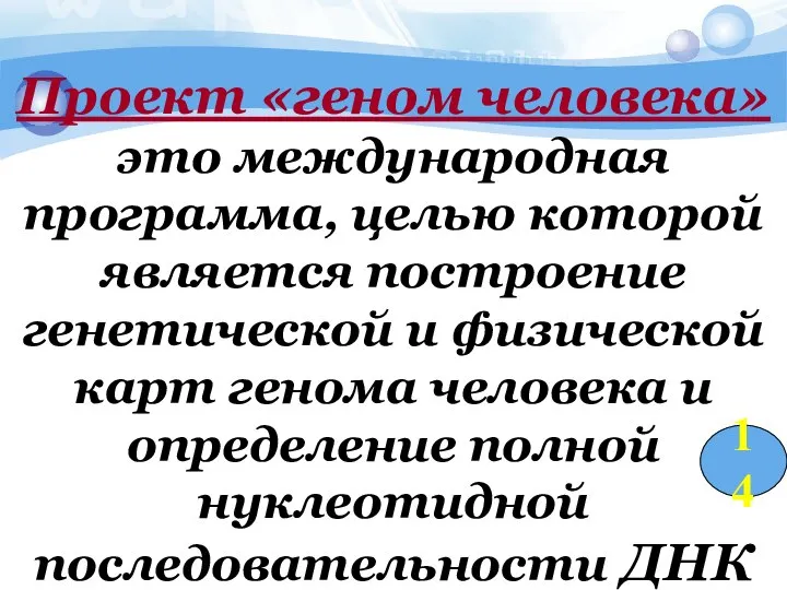 Проект «геном человека» это международная программа, целью которой является построение генетической