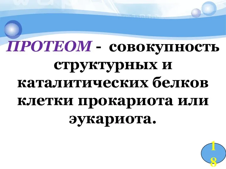 ПРОТЕОМ - совокупность структурных и каталитических белков клетки прокариота или эукариота. 18