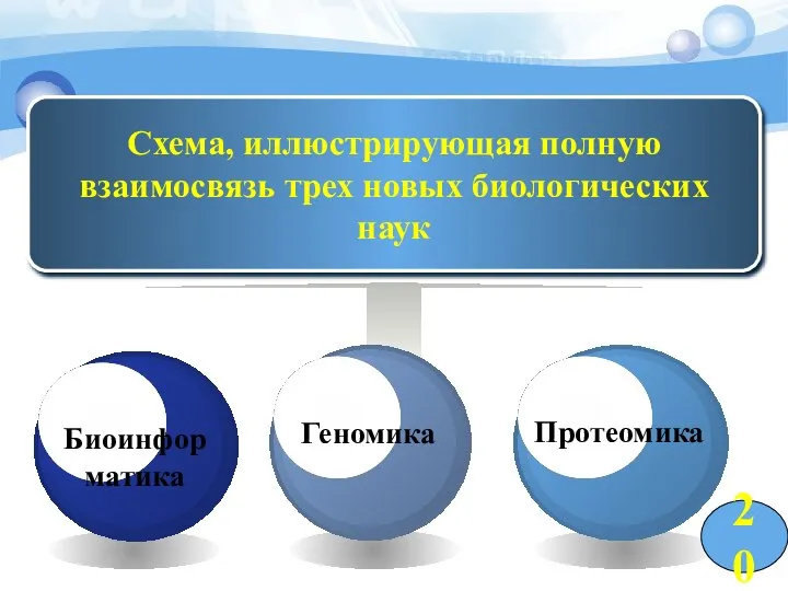 Схема, иллюстрирующая полную взаимосвязь трех новых биологических наук 20