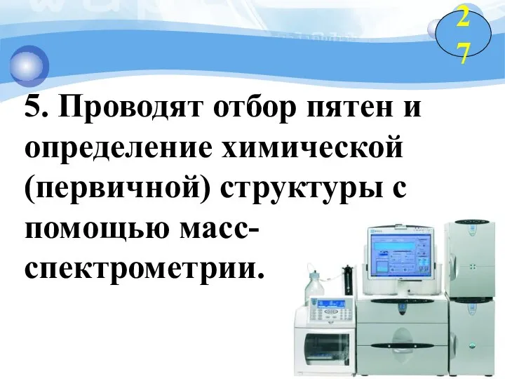 5. Проводят отбор пятен и определение химической (первичной) структуры с помощью масс-спектрометрии. 27