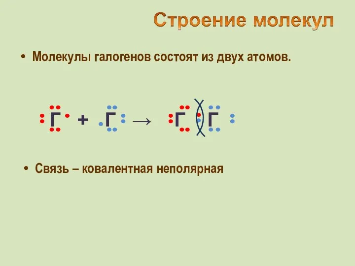 Молекулы галогенов состоят из двух атомов. Связь – ковалентная неполярная