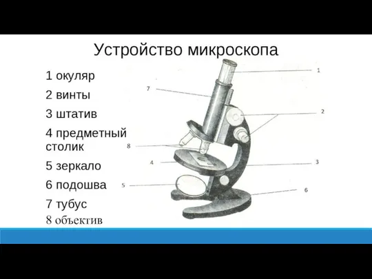 8 8 объектив