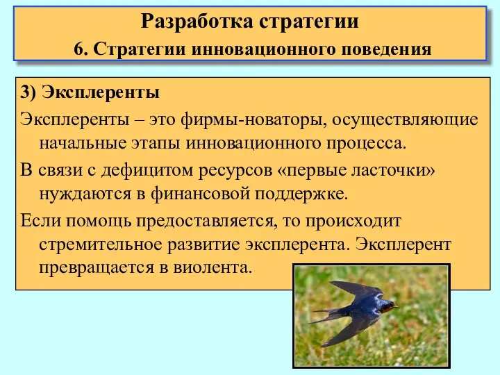 3) Эксплеренты Эксплеренты – это фирмы-новаторы, осуществляющие начальные этапы инновационного процесса.