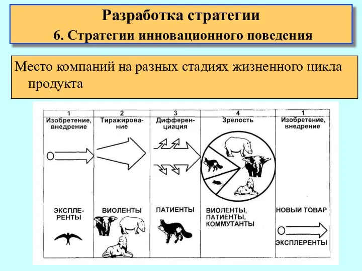 Место компаний на разных стадиях жизненного цикла продукта Разработка стратегии 6. Стратегии инновационного поведения