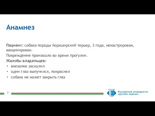 Анамнез Пациент: собака породы йоркширский терьер, 3 года, некастрирован, вакцинирован. Повреждение