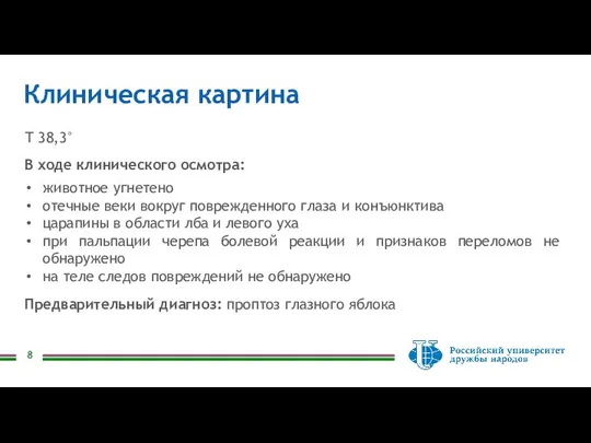 Клиническая картина Т 38,3° В ходе клинического осмотра: животное угнетено отечные