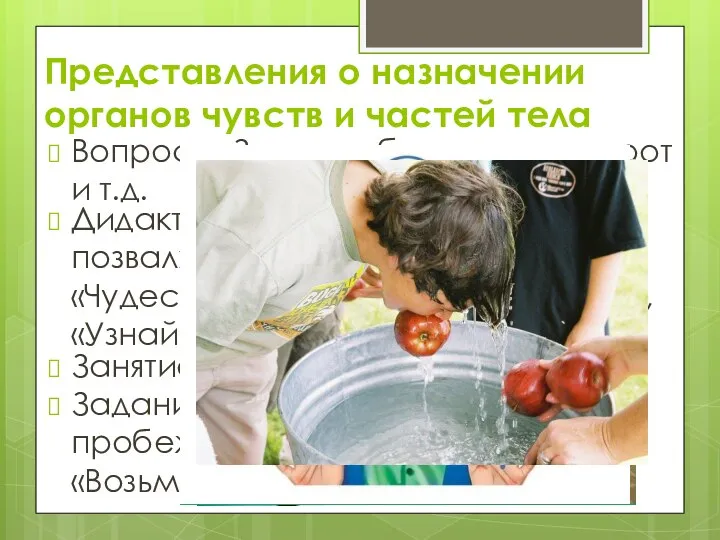 Представления о назначении органов чувств и частей тела Вопросы: Зачем тебе