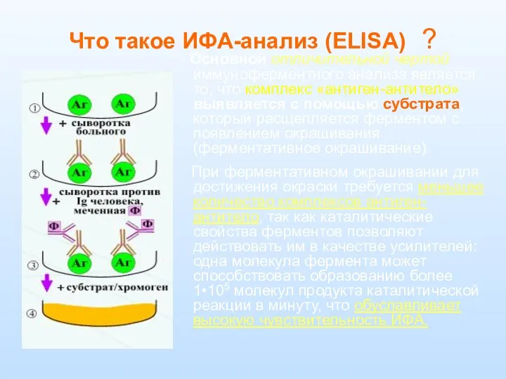 Что такое ИФА-анализ (ELISA) ? Основной отличительной чертой иммуноферментного анализа является