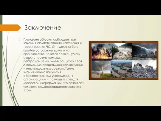 Заключение Граждане обязаны соблюдать все законы в области защиты населения и