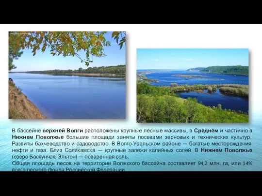 В бассейне верхней Волги расположены крупные лесные массивы, в Среднем и