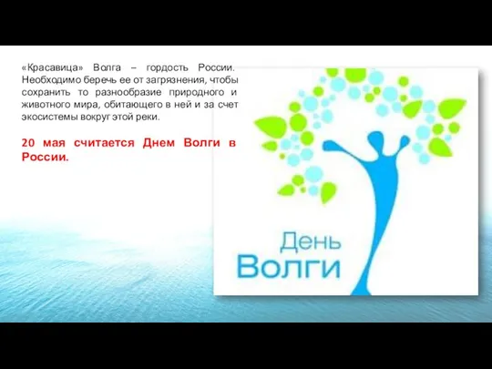 «Красавица» Волга – гордость России. Необходимо беречь ее от загрязнения, чтобы