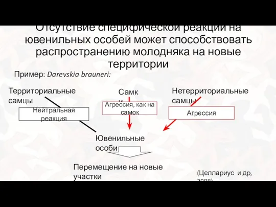 Отсутствие специфической реакции на ювенильных особей может способствовать распространению молодняка на