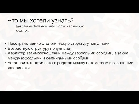 Что мы хотели узнать? (на самом деле всё, что только возможно