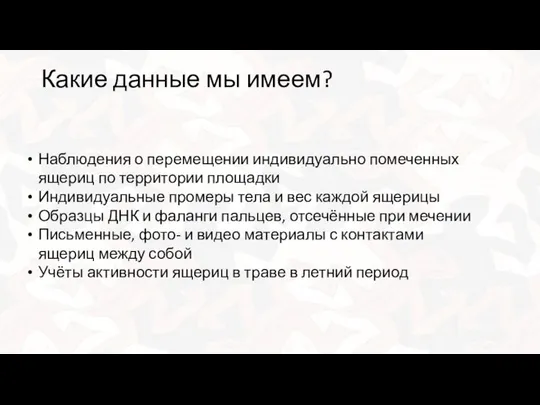 Какие данные мы имеем? Наблюдения о перемещении индивидуально помеченных ящериц по