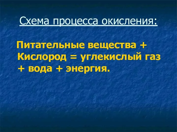 Схема процесса окисления: Питательные вещества + Кислород = углекислый газ + вода + энергия.