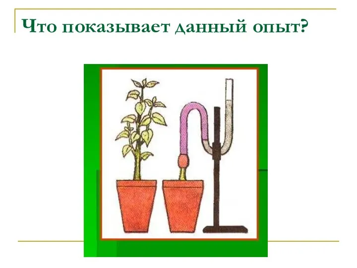 Что показывает данный опыт?