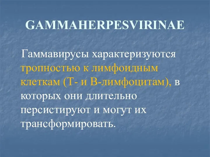 GAMMAHERPESVIRINAE Гаммавирусы характеризуются тропностью к лимфоидным клеткам (Т- и В-лимфоцитам), в