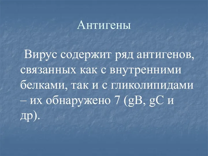 Антигены Вирус содержит ряд антигенов, связанных как с внутренними белками, так