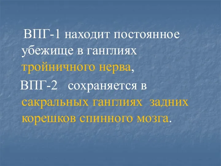 ВПГ-1 находит постоянное убежище в ганглиях тройничного нерва, ВПГ-2 сохраняется в