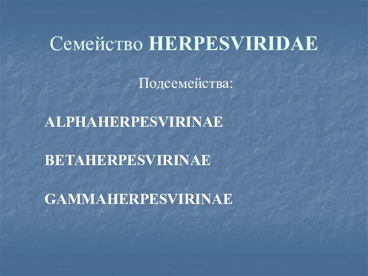 Семейство HERPESVIRIDAE Подсемейства: АLPHAHERPESVIRINAE ВЕТАHERPESVIRINAE GAMMAHERPESVIRINAE