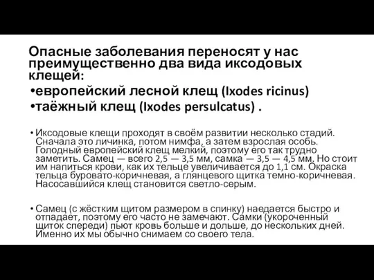 Опасные заболевания переносят у нас преимущественно два вида иксодовых клещей: европейский