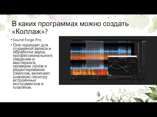 В каких программах можно создать «Коллаж»? Sound Forge Pro Она подходит