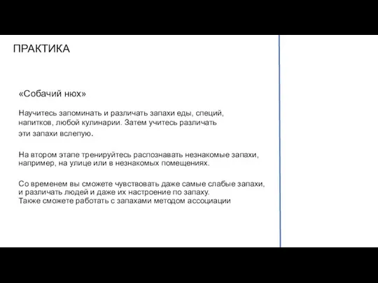 ПРАКТИКА «Собачий нюх» Научитесь запоминать и различать запахи еды, специй, напитков,