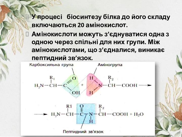 У процесі біосинтезу білка до його складу включаються 20 амінокислот. Амінокислоти