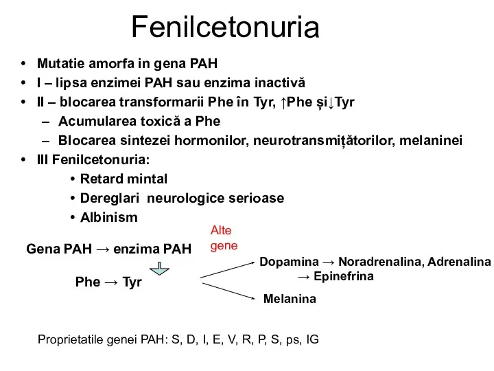 Fenilcetonuria Mutatie amorfa in gena PAH I – lipsa enzimei PAH